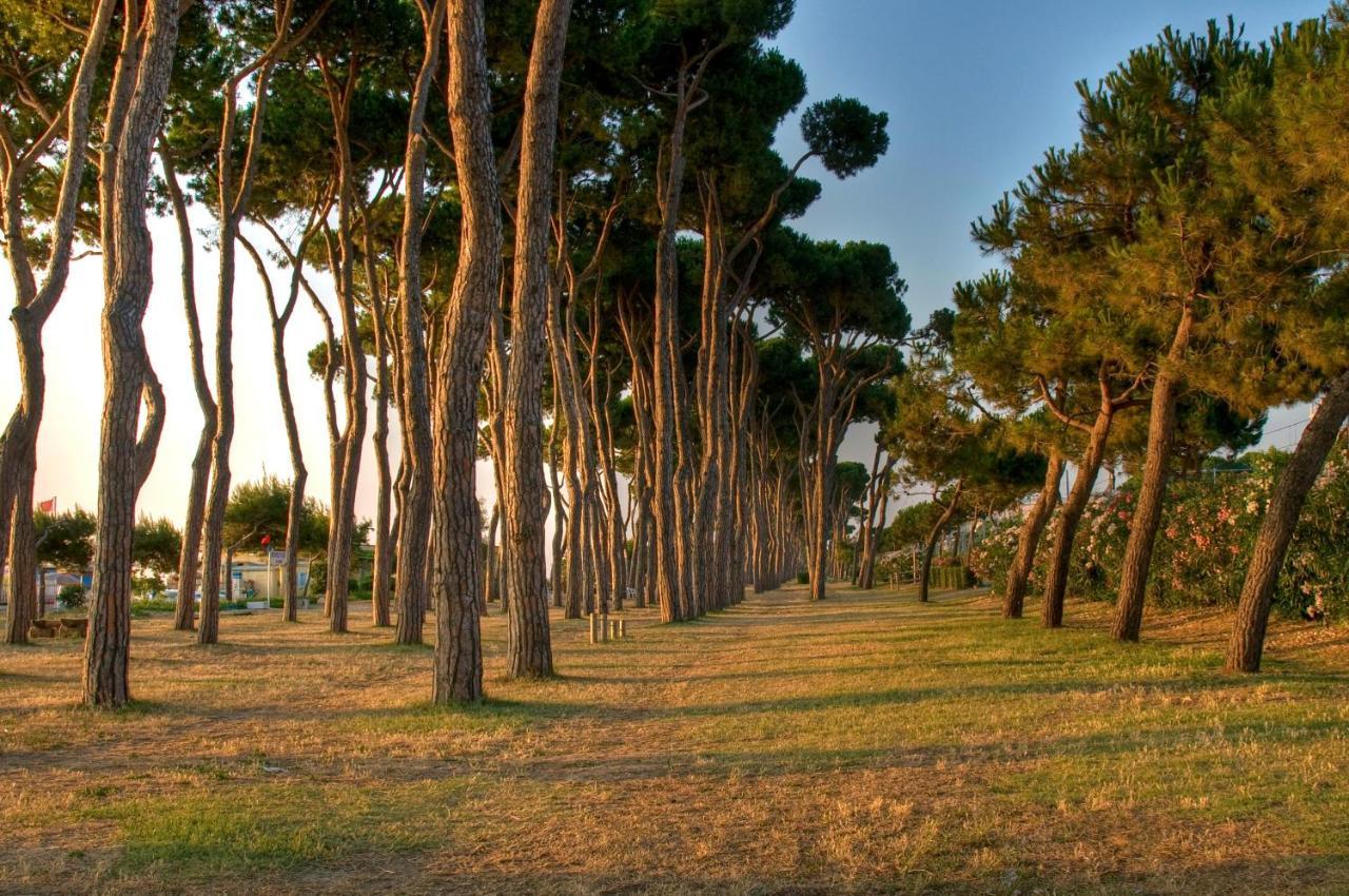 Green Bay Village Pineto Εξωτερικό φωτογραφία